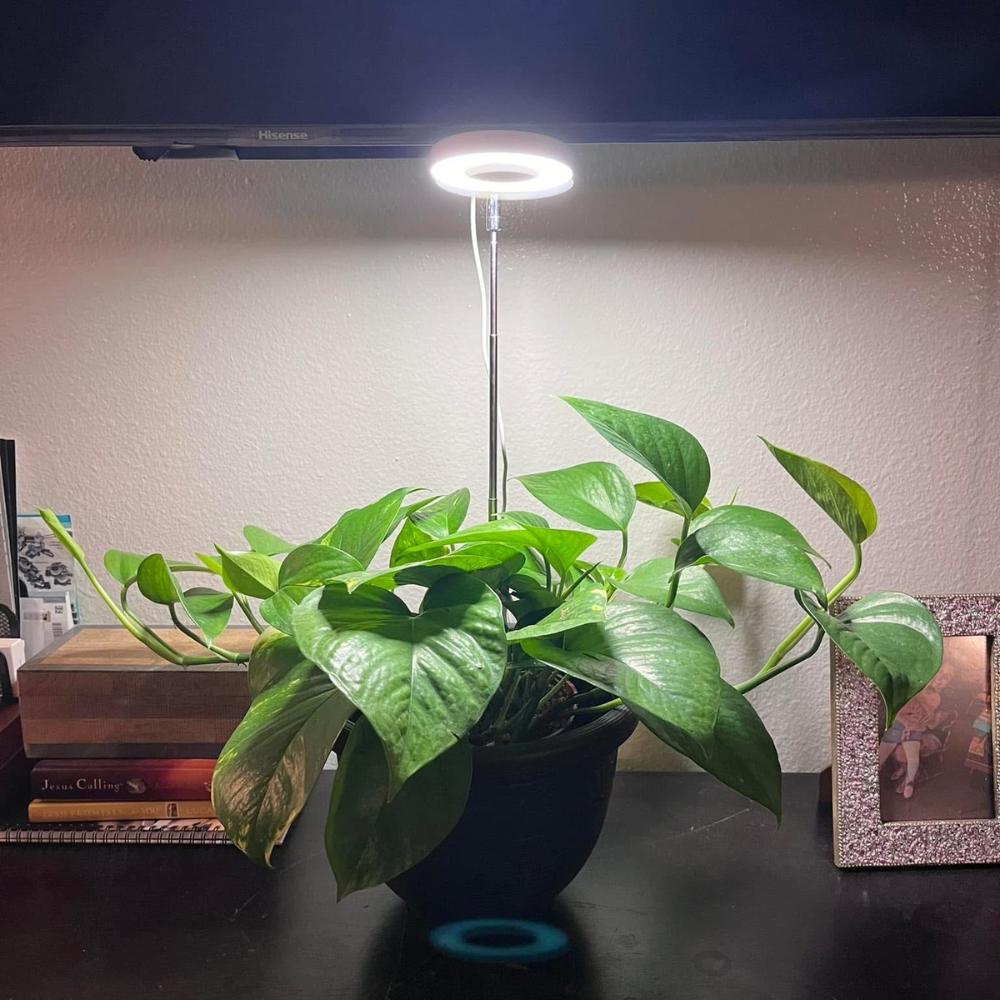 NEW Pothos LED "Full Spectrum" Grow Light
