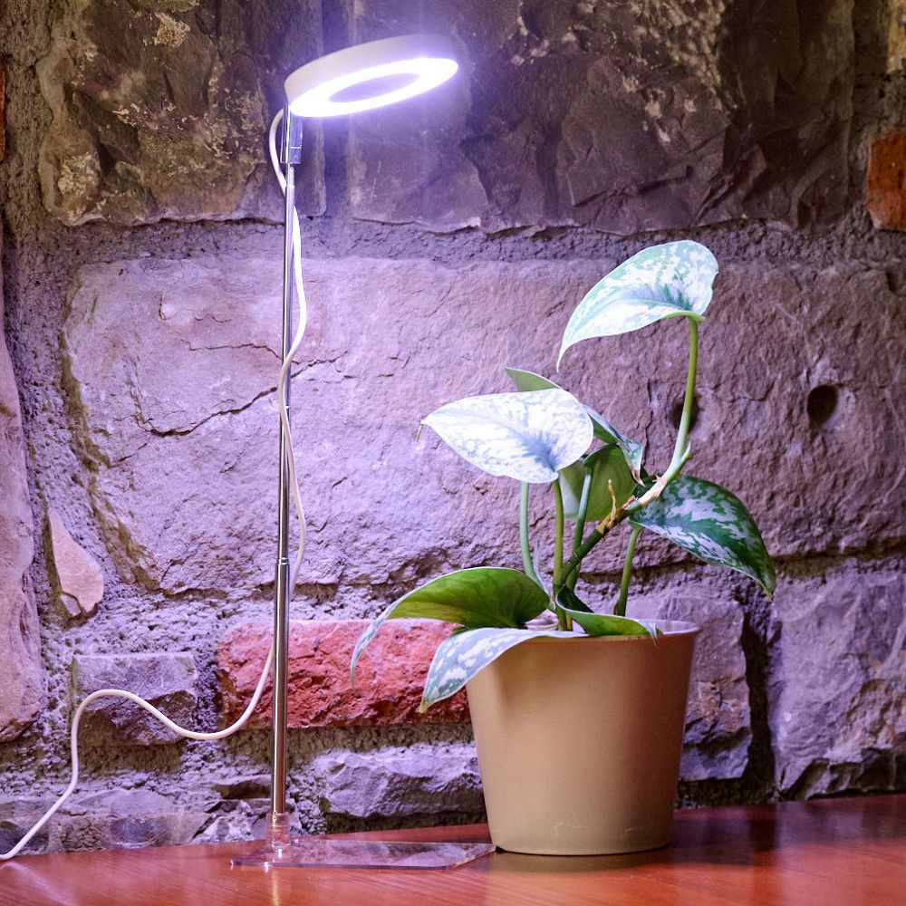NEW Pothos LED "Full Spectrum" Grow Light