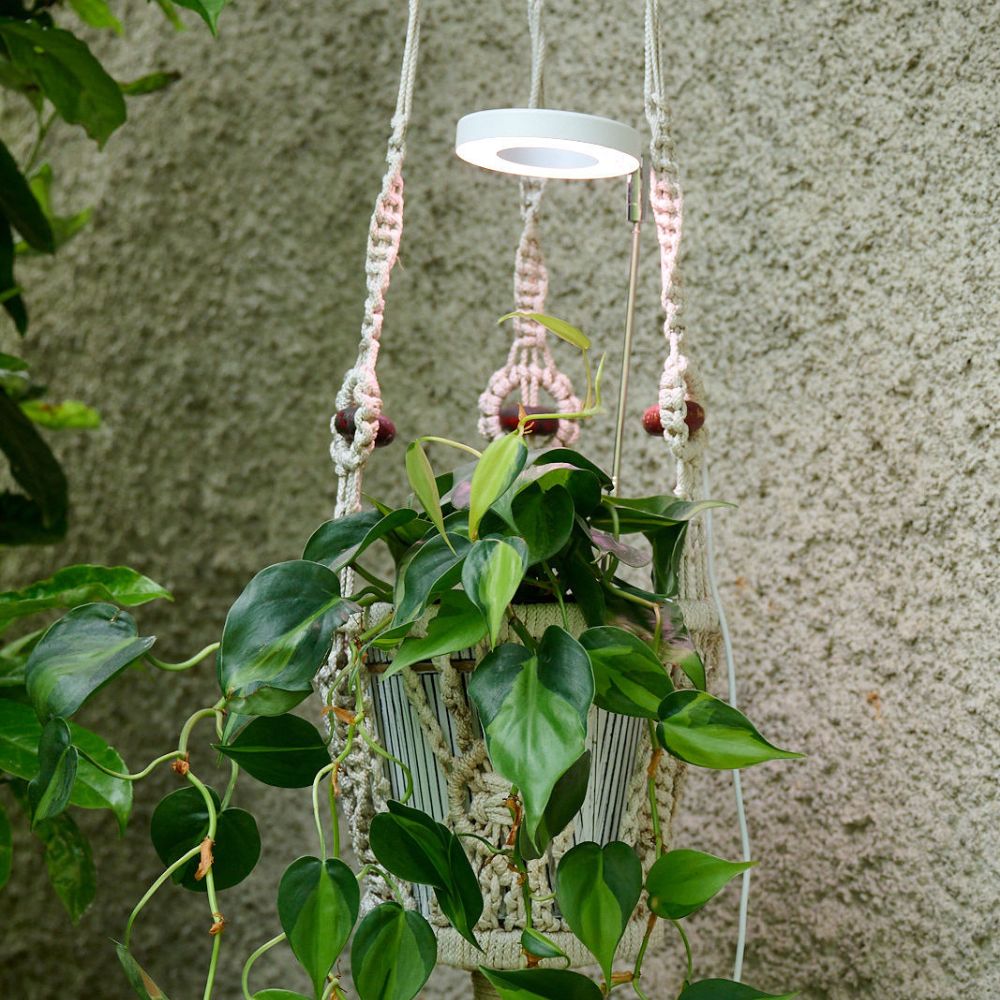 NEW Pothos LED "Full Spectrum" Grow Light